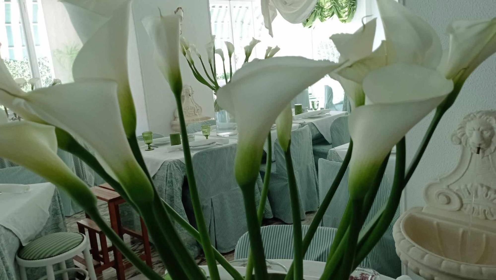 Eveline Portosole 4* Sanremo